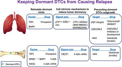 Innovative Approaches in the Battle Against Cancer Recurrence: Novel Strategies to Combat Dormant Disseminated Tumor Cells